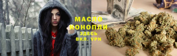 соль ск Волосово