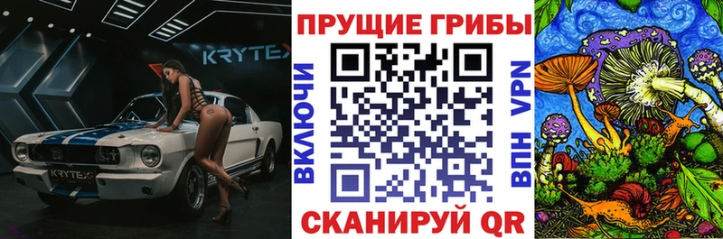 Галлюциногенные грибы Psilocybine cubensis  kraken   Тверь 