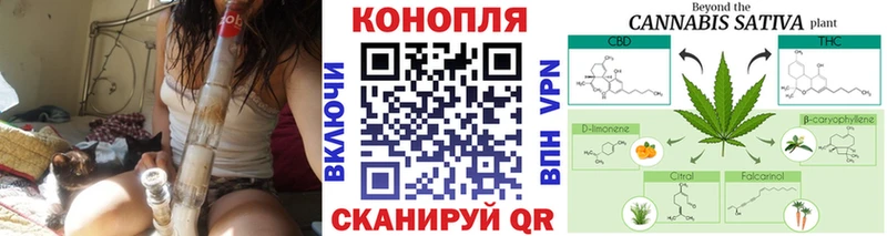 Бошки марихуана конопля  закладки  Тверь 